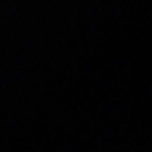 Meet your Posher, Colin